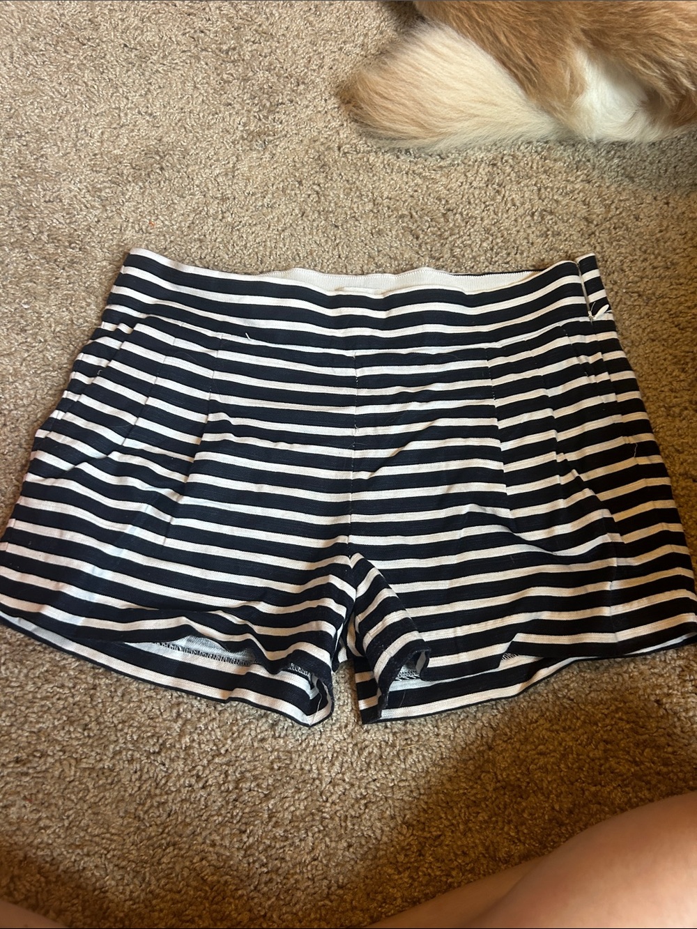 J. Crew Navy and White Striped High-Waist Shorts
